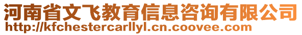 河南省文飛教育信息咨詢有限公司