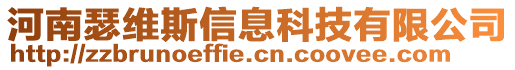 河南瑟維斯信息科技有限公司