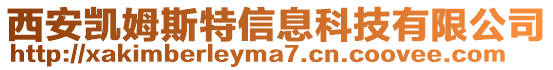 西安凱姆斯特信息科技有限公司