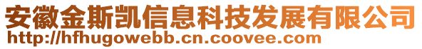 安徽金斯凱信息科技發(fā)展有限公司