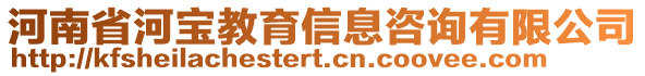 河南省河寶教育信息咨詢有限公司