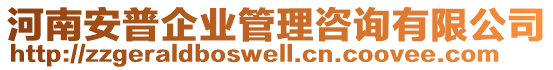 河南安普企業(yè)管理咨詢有限公司