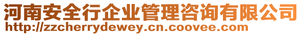 河南安全行企業(yè)管理咨詢有限公司