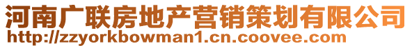 河南廣聯(lián)房地產(chǎn)營銷策劃有限公司