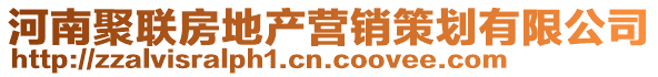 河南聚聯(lián)房地產(chǎn)營銷策劃有限公司