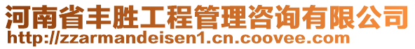 河南省豐勝工程管理咨詢有限公司