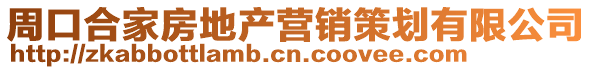 周口合家房地產(chǎn)營(yíng)銷策劃有限公司