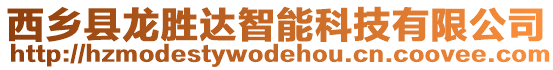 西鄉縣龍勝達智能科技有限公司