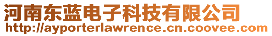 河南東藍(lán)電子科技有限公司