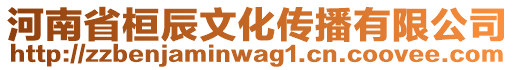 河南省桓辰文化傳播有限公司