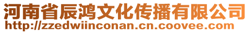 河南省辰鴻文化傳播有限公司