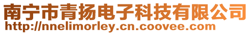 南寧市青揚(yáng)電子科技有限公司