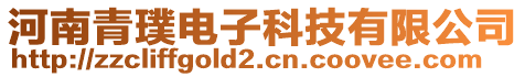 河南青璞電子科技有限公司