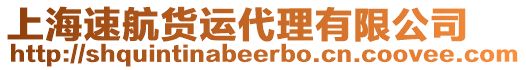 上海速航貨運(yùn)代理有限公司