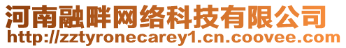 河南融畔網(wǎng)絡(luò)科技有限公司