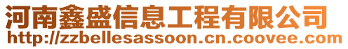 河南鑫盛信息工程有限公司