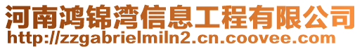 河南鴻錦灣信息工程有限公司