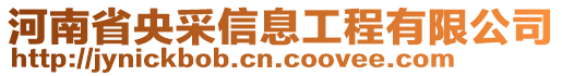 河南省央采信息工程有限公司