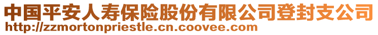 中國(guó)平安人壽保險(xiǎn)股份有限公司登封支公司