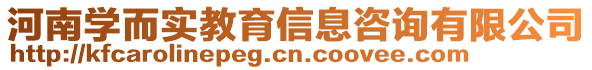 河南學而實教育信息咨詢有限公司