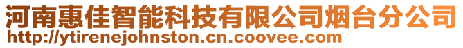 河南惠佳智能科技有限公司煙臺分公司