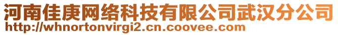 河南佳庚網(wǎng)絡(luò)科技有限公司武漢分公司