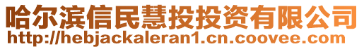 哈爾濱信民慧投投資有限公司