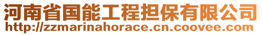 河南省國能工程擔(dān)保有限公司