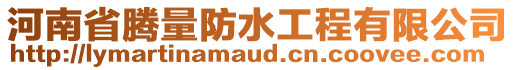 河南省騰量防水工程有限公司