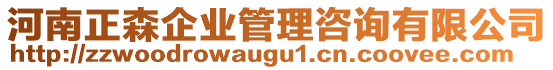 河南正森企業(yè)管理咨詢有限公司