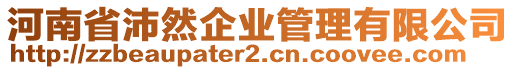 河南省沛然企業(yè)管理有限公司