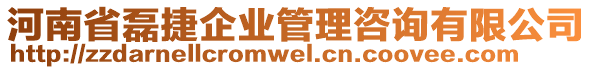 河南省磊捷企業(yè)管理咨詢(xún)有限公司