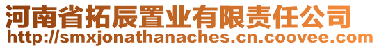 河南省拓辰置業(yè)有限責(zé)任公司