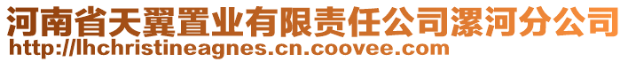 河南省天翼置業(yè)有限責任公司漯河分公司