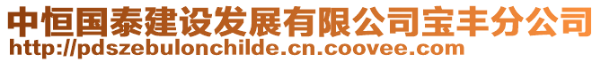 中恒國泰建設發(fā)展有限公司寶豐分公司