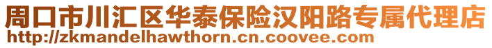 周口市川匯區(qū)華泰保險(xiǎn)漢陽路專屬代理店