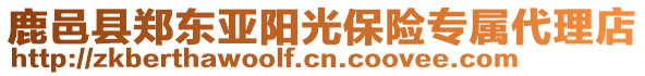 鹿邑縣鄭東亞陽光保險專屬代理店