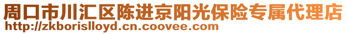 周口市川匯區(qū)陳進(jìn)京陽光保險(xiǎn)專屬代理店