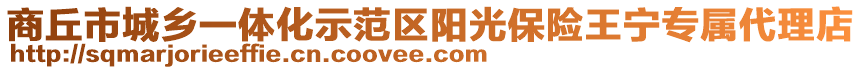 商丘市城鄉(xiāng)一體化示范區(qū)陽(yáng)光保險(xiǎn)王寧專(zhuān)屬代理店