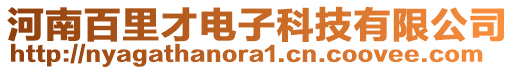 河南百里才電子科技有限公司