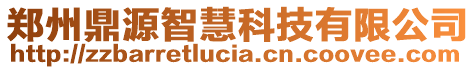 鄭州鼎源智慧科技有限公司