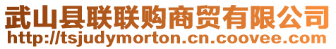 武山縣聯(lián)聯(lián)購商貿(mào)有限公司