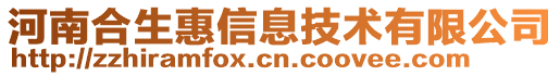 河南合生惠信息技術(shù)有限公司