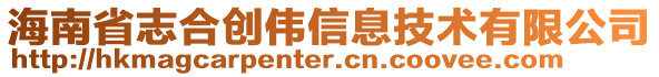 海南省志合創(chuàng)偉信息技術(shù)有限公司