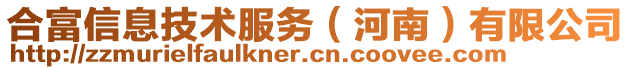 合富信息技術(shù)服務(wù)（河南）有限公司