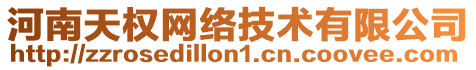 河南天權(quán)網(wǎng)絡(luò)技術(shù)有限公司