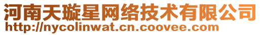 河南天璇星網(wǎng)絡(luò)技術(shù)有限公司