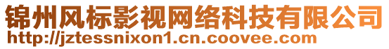 錦州風(fēng)標(biāo)影視網(wǎng)絡(luò)科技有限公司