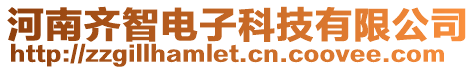 河南齊智電子科技有限公司