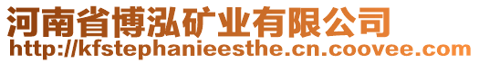 河南省博泓礦業(yè)有限公司